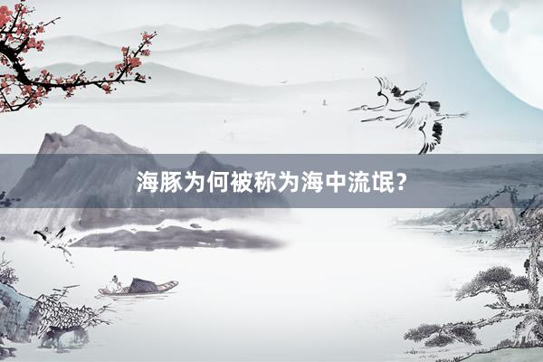海豚为何被称为海中流氓？